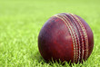 Cricket Ball with copy space to the left