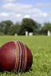 Cricket Ball