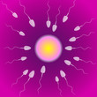 sperms