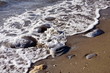 Water lapping on the sea shore