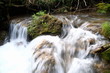 Waterfall in forest