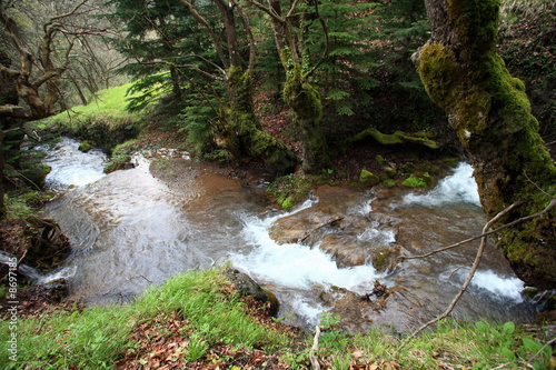 Photo: River in forest River in forest