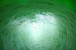 Closeup of fishing line