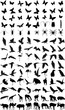 Vector: Many silhouettes of different animals and insects Many silhouettes of different animals and insects