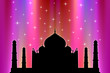 Taj Mahal Under Sparkling Magical Lights