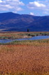Lake landscape *** Local Caption *** Beautiful scenics throughout winter, spring, summer and fall