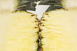 Halved pineapple, close-up