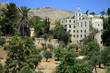 jérusalem sur le mont des oliviers