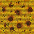 sonnenwand