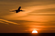 flug in den morgen