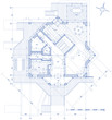 house plan: vector blueprint