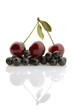 Cherries and whortleberries, isolated