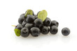 Whortleberries, isolated