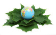 Save world.