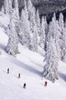 People skiing on Jahorina, Republika Srpska, Bosnia and Herzegov