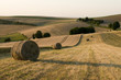 Paysage de moisson 3233
