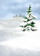 xmas illustration 14