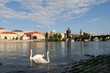 view on Charles bridge and river Vltava , Prague