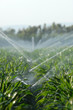 irrigazione