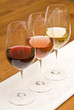 Wine Tasting Wine Tasting