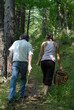 Promenade en forêt