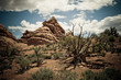 Arches National Park, Utah, USA Arches National Park, Utah, USA