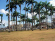 Place de cayenne