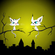 two cats