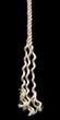 Braiding rope