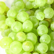 isolated grape