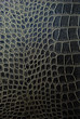 Snake skin background Snake skin background
