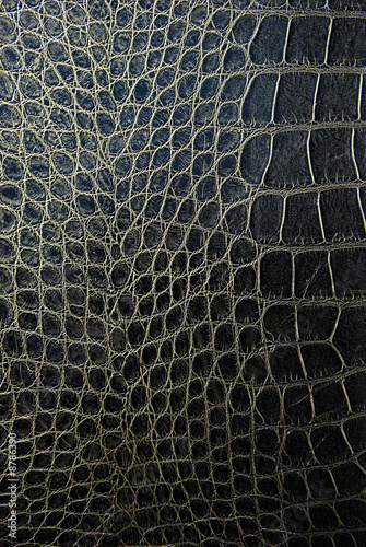 Photo: Snake skin background Snake skin background