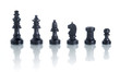 complete set of chess pieces isolated on white with reflection complete set of chess pieces isolated on white with reflection