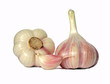 Garlic (isolated)