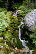 alpen wasserfall