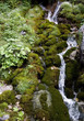 alpen fluss