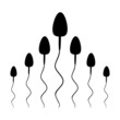spermien