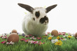Rabbit with bows on Easter meadow