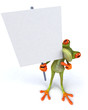 Grenouille avec un panneau blanc Grenouille avec un panneau blanc