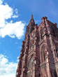 cathédrale de strasbourg