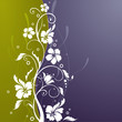 Abstract floral design