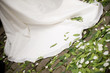 mariage34