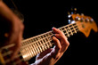 Bassist Bassist