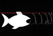 White papery fish opposite fish-hooks hanging on red rope