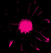 Flowers4