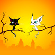 two cats at dawn