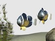 poissons clowns