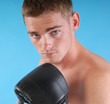 Boxer