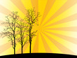 trees