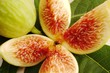 FONG FIGUES.